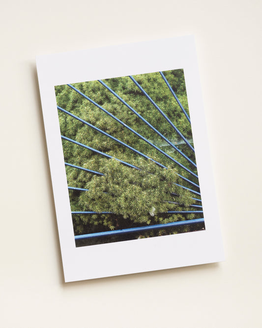 Print Plot